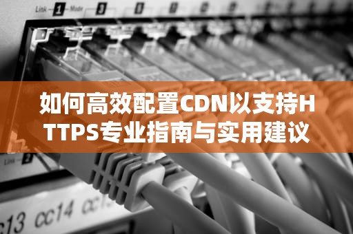 如何高效配置CDN以支持HTTPS专业指南与实用建议