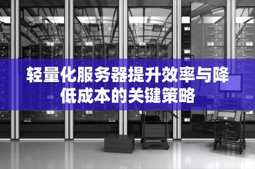 轻量化服务器提升效率与降低成本的关键策略
