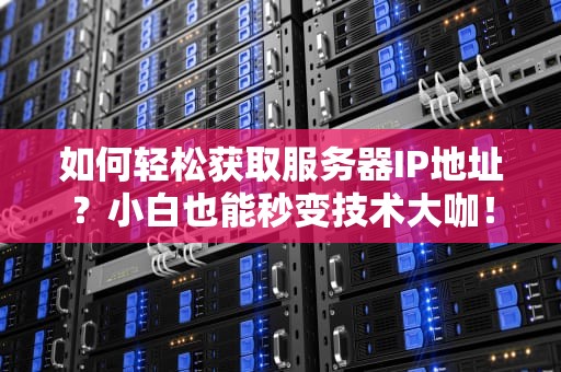 如何轻松获取服务器IP地址？小白也能秒变技术大咖！