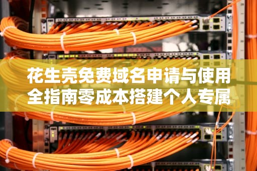花生壳免费域名申请与使用全指南零成本搭建个人专属网络服务