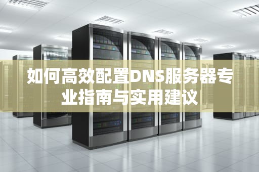 如何高效配置DNS服务器专业指南与实用建议