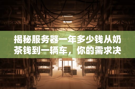 揭秘服务器一年多少钱从奶茶钱到一辆车，你的需求决定钱包厚度！