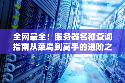 全网最全！服务器名称查询指南从菜鸟到高手的进阶之路