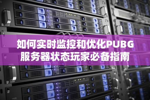 如何实时监控和优化PUBG服务器状态玩家必备指南