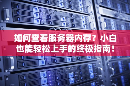 如何查看服务器内存？小白也能轻松上手的终极指南！