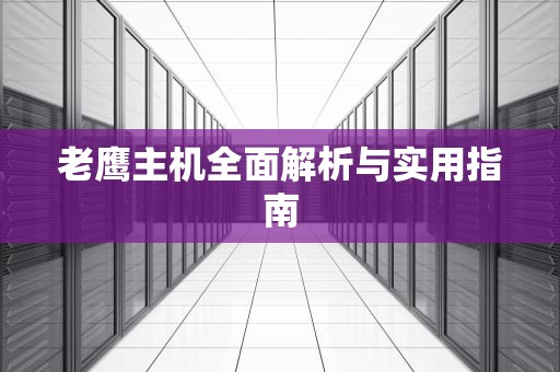 老鹰主机全面解析与实用指南