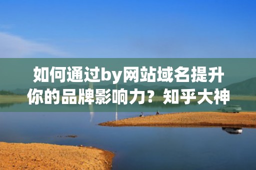 如何通过by网站域名提升你的品牌影响力？知乎大神来支招！