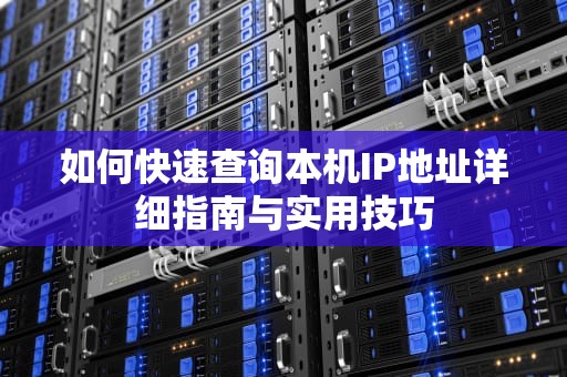如何快速查询本机IP地址详细指南与实用技巧