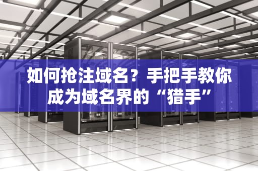 如何抢注域名？手把手教你成为域名界的“猎手”