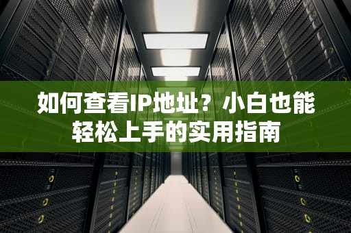 如何查看IP地址？小白也能轻松上手的实用指南