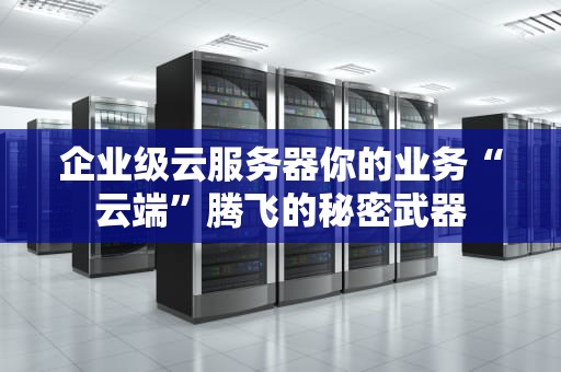 企业级云服务器你的业务“云端”腾飞的秘密武器