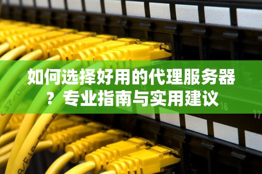 如何选择好用的代理服务器？专业指南与实用建议