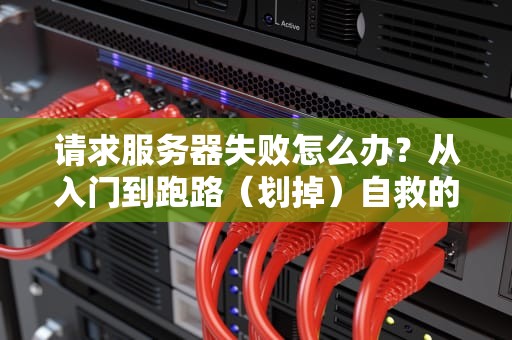请求服务器失败怎么办？从入门到跑路（划掉）自救的硬核指南