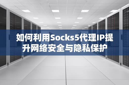 如何利用Socks5代理IP提升网络安全与隐私保护