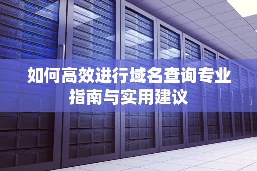 如何高效进行域名查询专业指南与实用建议