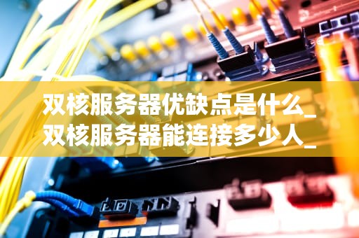双核服务器优缺点是什么_双核服务器能连接多少人_双核服务器的优缺点分析