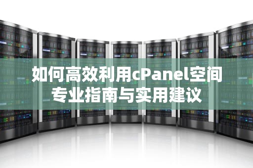 如何高效利用cPanel空间专业指南与实用建议