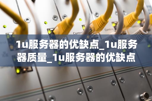 1u服务器的优缺点_1u服务器质量_1u服务器的优缺点及其应用前景