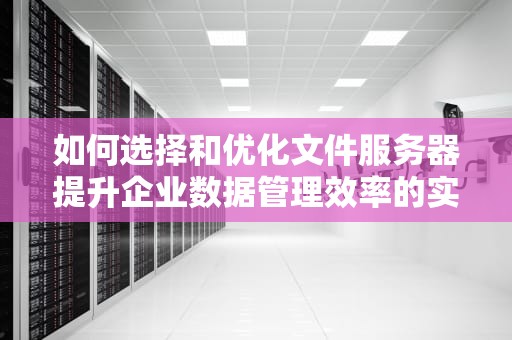 如何选择和优化文件服务器提升企业数据管理效率的实用指南