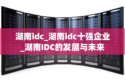 湖南idc_湖南idc十强企业_湖南IDC的发展与未来