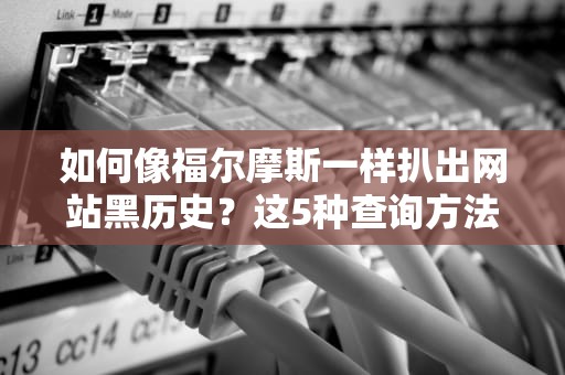 如何像福尔摩斯一样扒出网站黑历史？这5种查询方法让你秒变互联网考古学家！