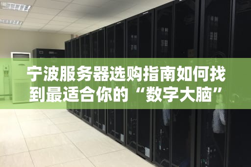 宁波服务器选购指南如何找到最适合你的“数字大脑”？