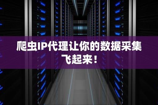 爬虫IP代理让你的数据采集飞起来！