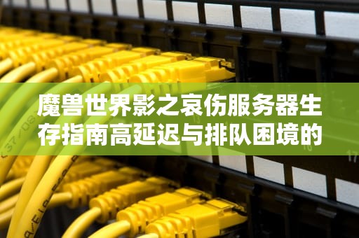 魔兽世界影之哀伤服务器生存指南高延迟与排队困境的破局之道