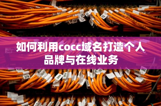 如何利用cocc域名打造个人品牌与在线业务