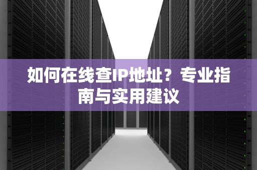 如何在线查IP地址？专业指南与实用建议