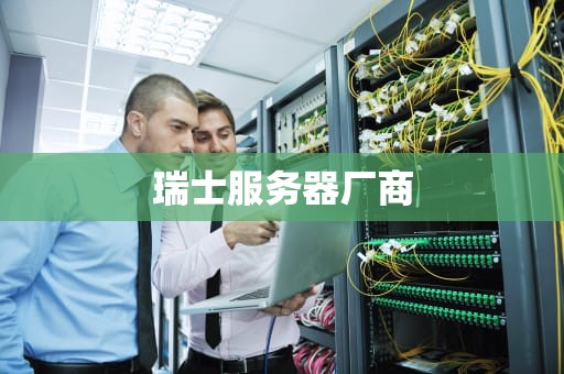 瑞士服务器厂商