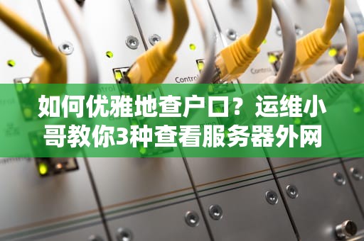 如何优雅地查户口？运维小哥教你3种查看服务器外网IP的骚操作
