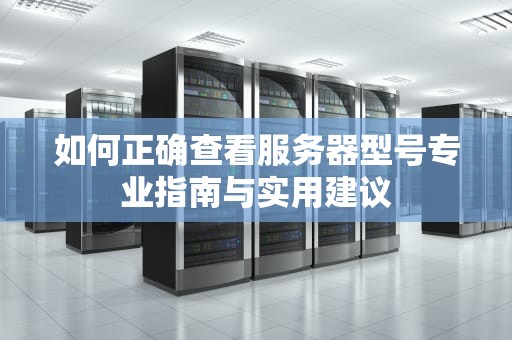 如何正确查看服务器型号专业指南与实用建议