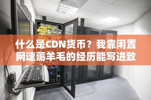 什么是CDN货币？我靠闲置网速薅羊毛的经历能写进致富经吗？