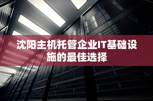 沈阳主机托管企业IT基础设施的最佳选择