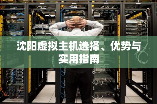 沈阳虚拟主机选择、优势与实用指南