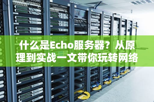 什么是Echo服务器？从原理到实战一文带你玩转网络复读机
