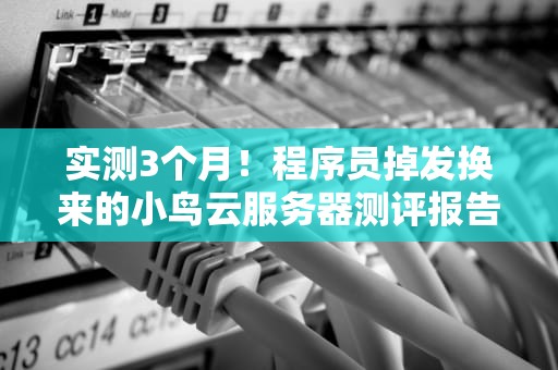 实测3个月！程序员掉发换来的小鸟云服务器测评报告真香还是翻车？