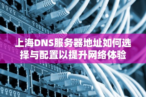 上海DNS服务器地址如何选择与配置以提升网络体验