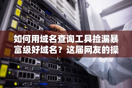 如何用域名查询工具捡漏暴富级好域名？这届网友的操作把我整不会了