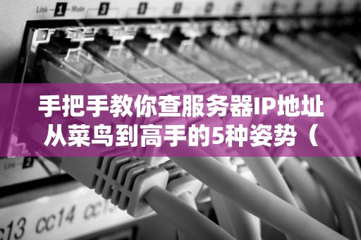 手把手教你查服务器IP地址从菜鸟到高手的5种姿势（附实战彩蛋）
