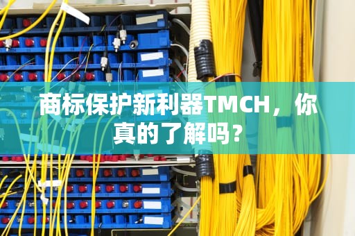 商标保护新利器TMCH，你真的了解吗？