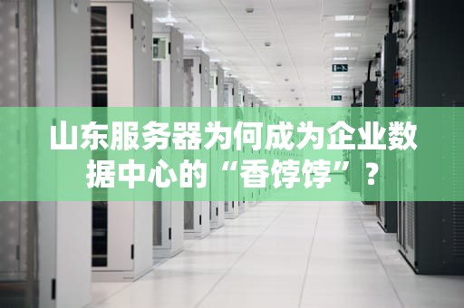 山东服务器为何成为企业数据中心的“香饽饽”？