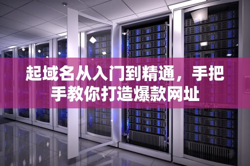 起域名从入门到精通，手把手教你打造爆款网址