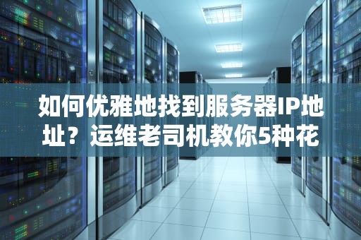 如何优雅地找到服务器IP地址？运维老司机教你5种花式查岗技巧