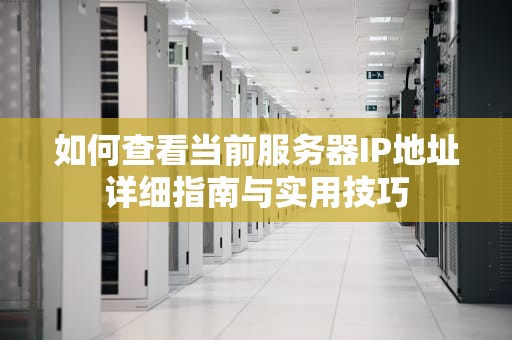 如何查看当前服务器IP地址详细指南与实用技巧