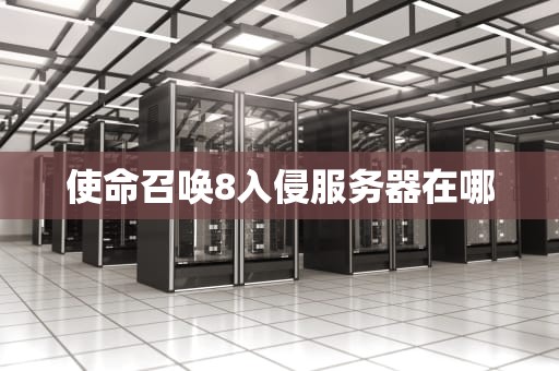 使命召唤8入侵服务器在哪