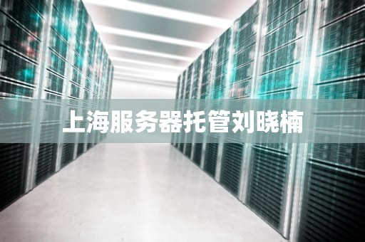 上海服务器托管刘晓楠