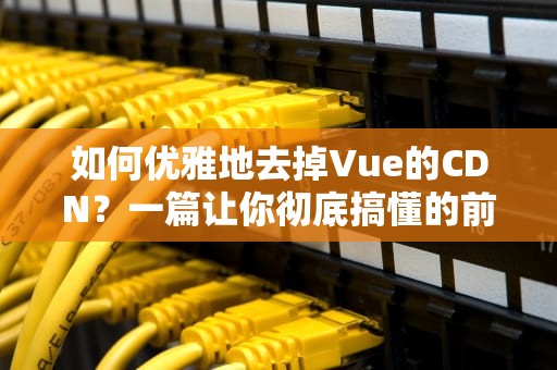 如何优雅地去掉Vue的CDN？一篇让你彻底搞懂的前端优化指南