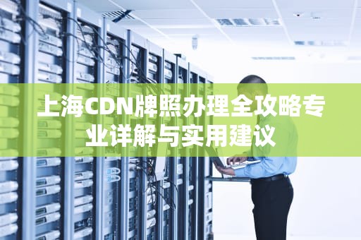 上海CDN牌照办理全攻略专业详解与实用建议